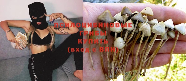 ешки Покров